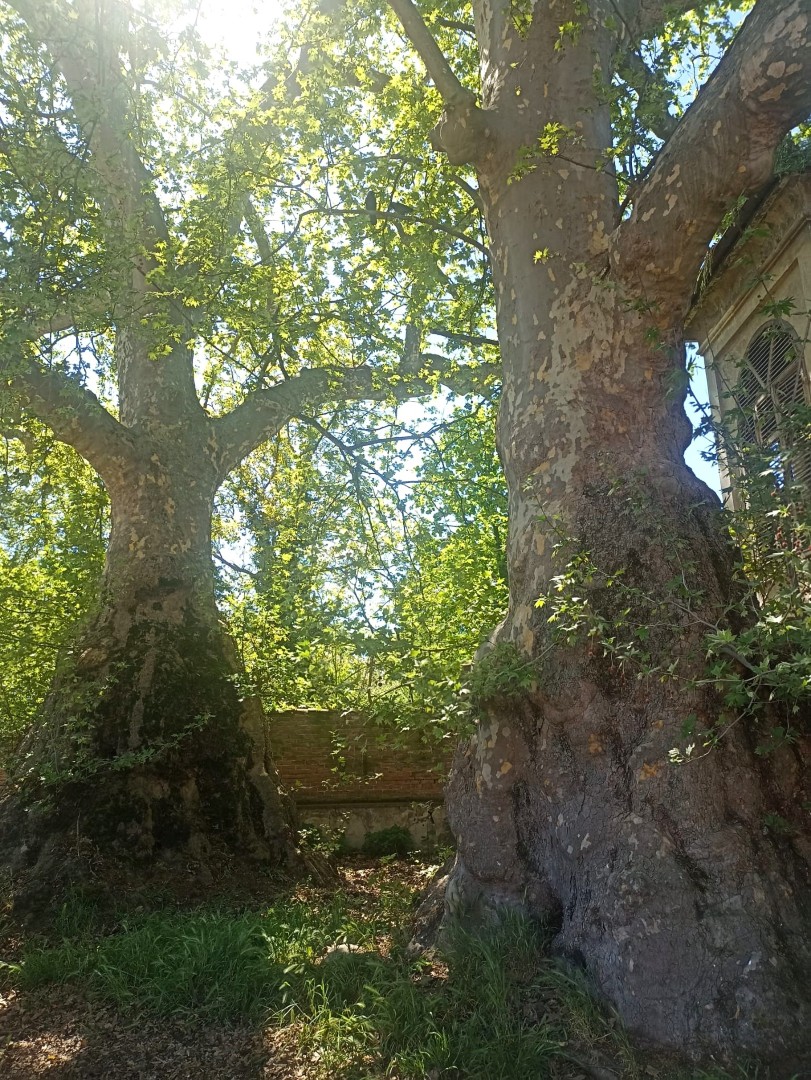 Cascine della memoria