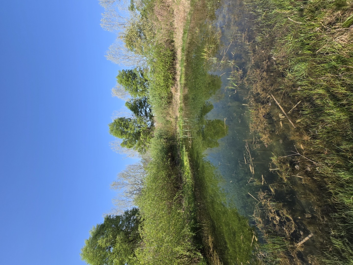 STAGNO DELLE RANE