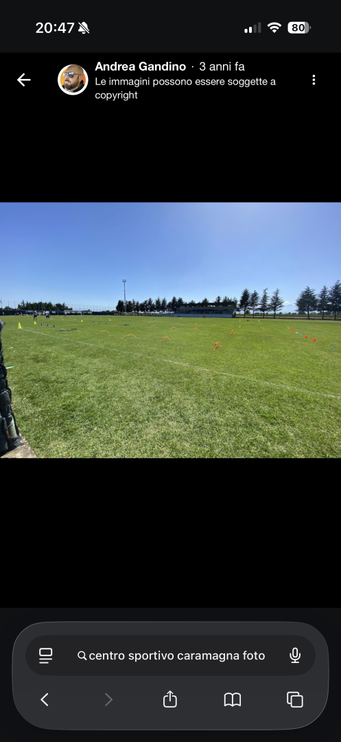 Campo da calcio erba naturale e campi con erba sintetica