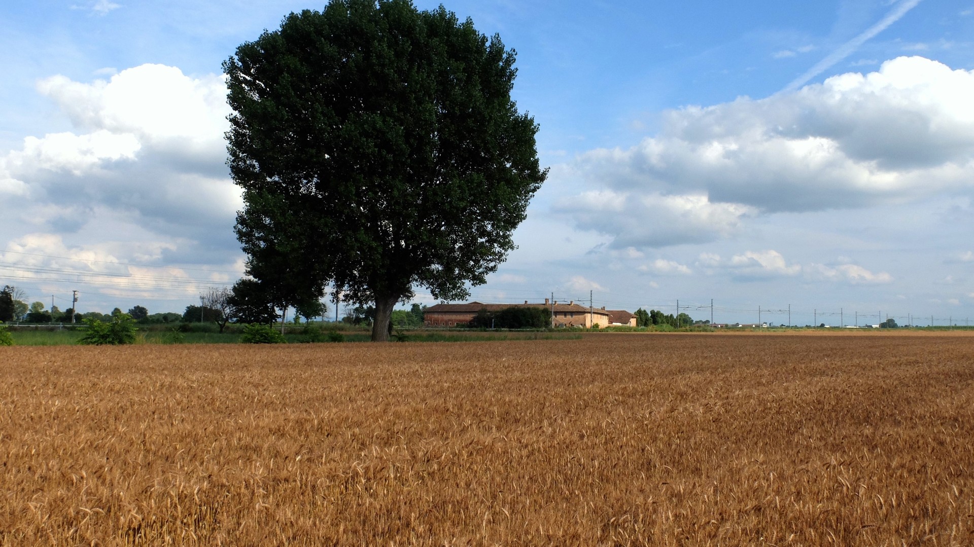 Campagna irrigua